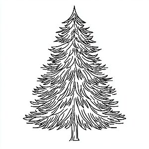Tannenbaum Winter
