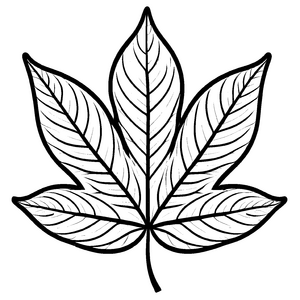 Aufregendes Herbstblätter-Ausmalbild zum kreativen Zeitvertreib