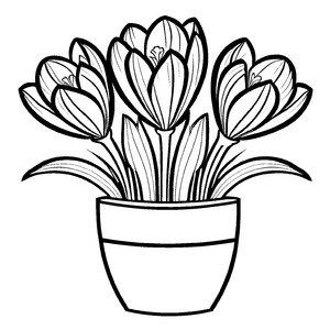 Großartiges Krokusse-Ausmalbild für Groß und Klein