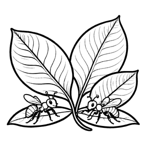 Detailreiches Ameisen-Ausmalbild zum Ausmalen