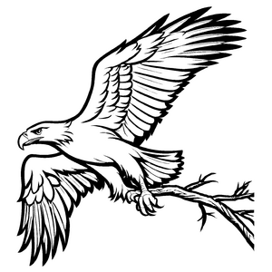 Lustiges Adler-Malbild für kreative Kids