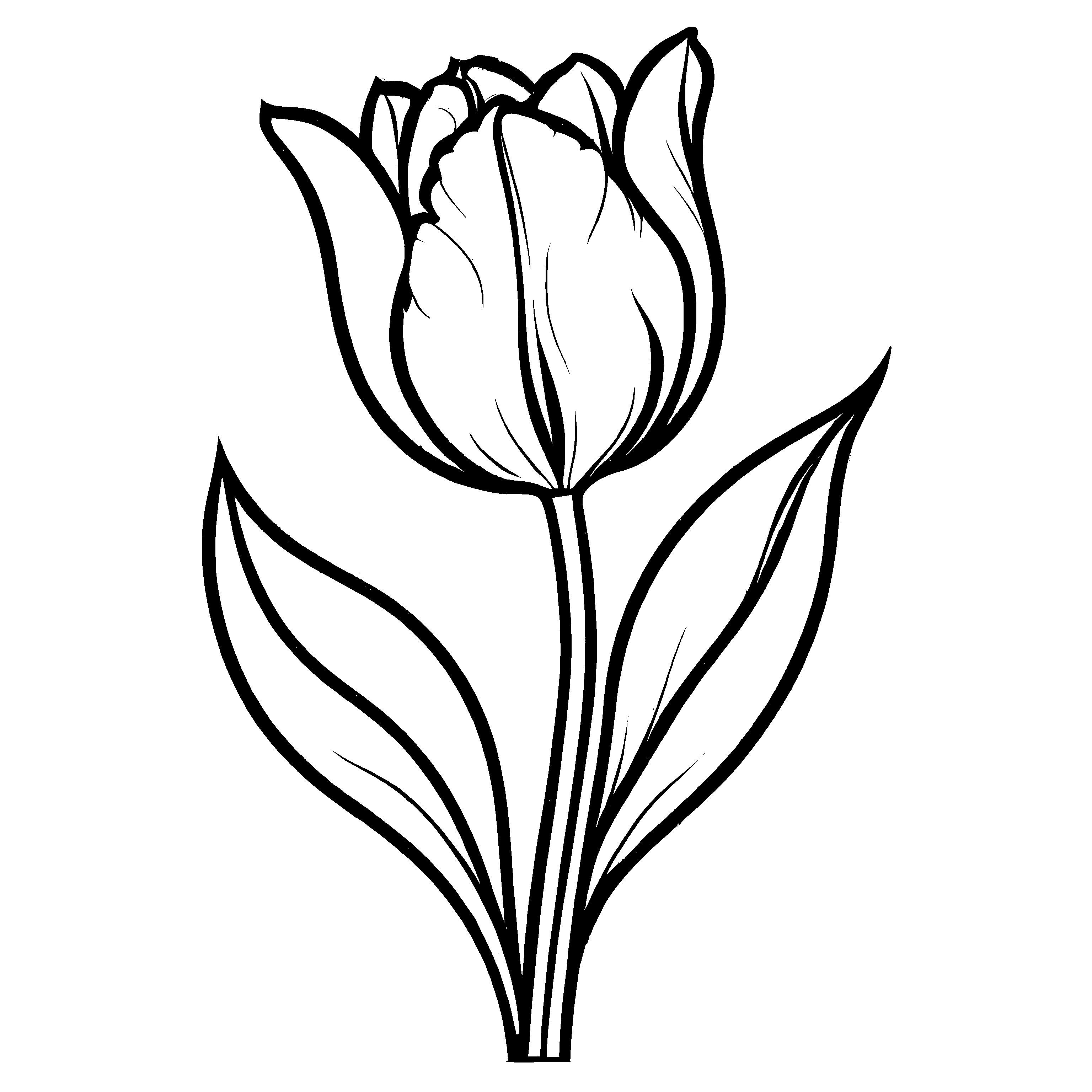 Wunderschönes Tulpen-Malbild zum Entdecken und Gestalten