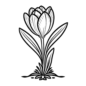Einzigartiges Krokusse-Ausmalbild für kleine Künstler