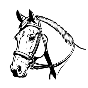 Fantasievolle Reiten-Ausmalvorlage für die ganze Familie