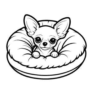 Farbenfrohes Chihuahuas-Malbild für kleine Künstler