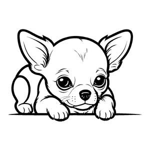 Faszinierende Chihuahuas-Malvorlage zum Basteln und Malen