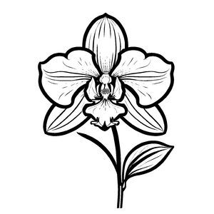 Einfaches Orchideen-Malbild für Groß und Klein