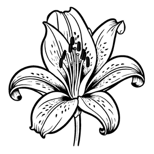 Niedliches Lilien-Bastelmotiv für Groß und Klein