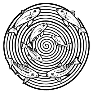 Kindgerechte Heringe-Malvorlage zum Ausmalen