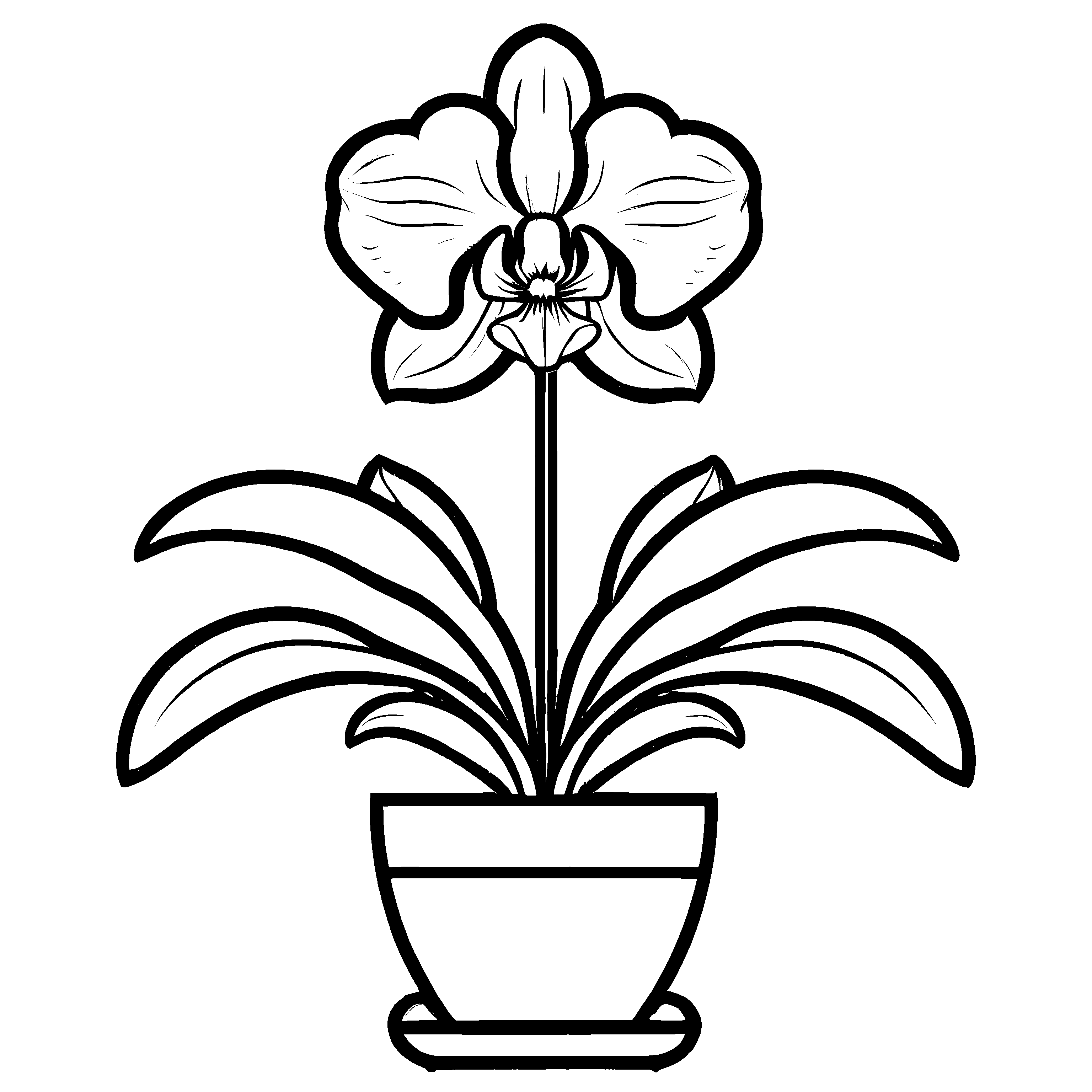 Fantasievolle Orchideen-Ausmalvorlage für kreative Kids
