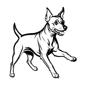 Witzige Zwergpinscher-Malvorlage für kleine Künstler