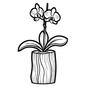 Fröhliche Orchideen-Ausmalvorlage zum Basteln und Malen