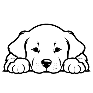 Witziges Golden Retriever-Malbild für die ganze Familie
