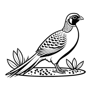 Witziges Fasane-Malbild für kreative Malstunden