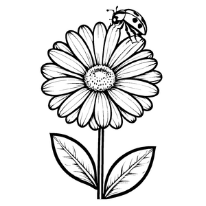 Interessantes Gänseblümchen-Ausmalbild für spannende Malzeit