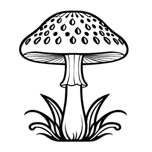 Wunderschönes Fliegenpilze-Malbild für bunte Malfreude
