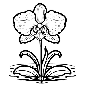 Kreative Orchideen-Ausmalvorlage für Groß und Klein