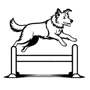 Farbenfrohes Border Collies-Malbild für Groß und Klein