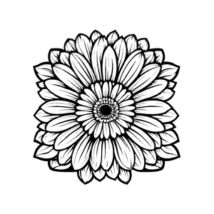 Einfache Gerbera-Ausmalvorlage für kreative Momente