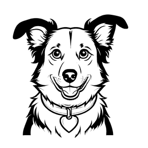 Farbenfrohe Border Collies-Malvorlage für Groß und Klein