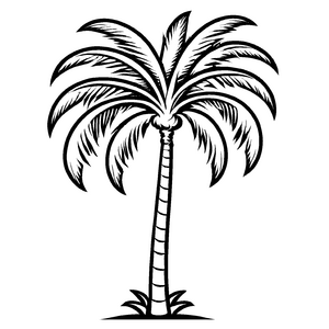 Interessante Palmen-Ausmalvorlage für kreative Malstunden
