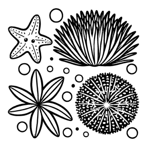 Besondere Seeigel-Ausmalvorlage für kleine Künstler