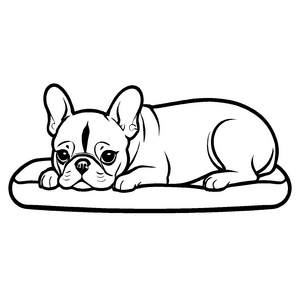 Besonderes Französische Bulldoggen-Ausmalbild für den Bastelspaß