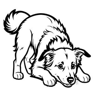 Süße Border Collies-Ausmalvorlage zum kreativen Zeitvertreib