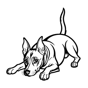 Interessante Zwergpinscher-Malvorlage für die ganze Familie