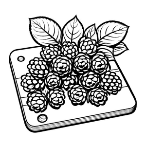 Brombeeren mit bunten Blüten Ausmalvorlage für kreative Köpfe
