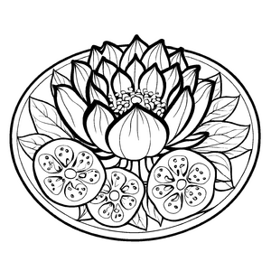 Beeindruckende Lotusblüte mit zarten Samen Ausmalmotiv für fantasievolle Entdeckerzwillinge