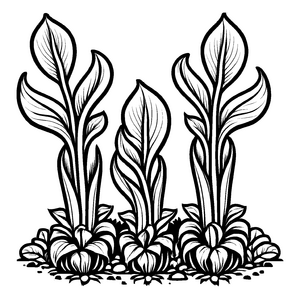 Detaillierte Galgant-Pflanzen im harmonischen Trio Ausmalbild für kreative Gartenforscher