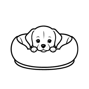 Magisches Hundekörbchen-Ausmalbild für kreative Malstunden