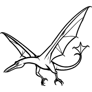 Faszinierender Pteranodon in schwindelerregendem Flug Ausmalbild für kleine Fantasy-Entdecker