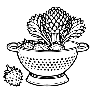 Fruchtiger Romanesco mit saftigen Erdbeeren Malvorlage für kleine Gourmet-Entdecker