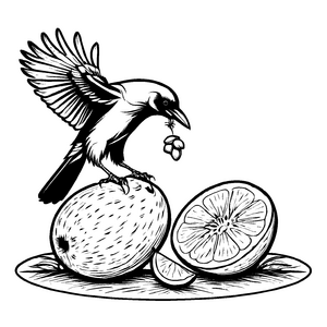 Schwarzer Vogel auf Grapefruit mit buntem Blütenzauber Malvorlage für fantasievolle Künstler