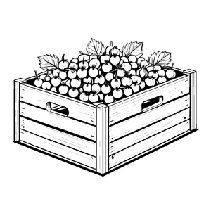 Bunte Äpfel in einer Holzkiste Ausmalvorlage für kleine Obstentdecker