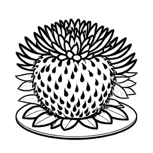 Faszinierender Rambutan mit großen Augen und vielen Samen Ausmalvorlage für abenteuerlustige Fruchtfans