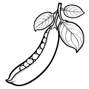 Kreative Edamame-Schote mit leuchtenden Details Ausmalbild für fantasievolle Küchenpiraten