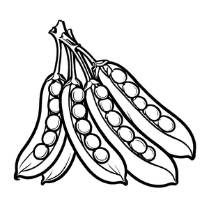 Faszinierende Gruppe von Edamame Pflanzen Malvorlage für kleine Naturforscher