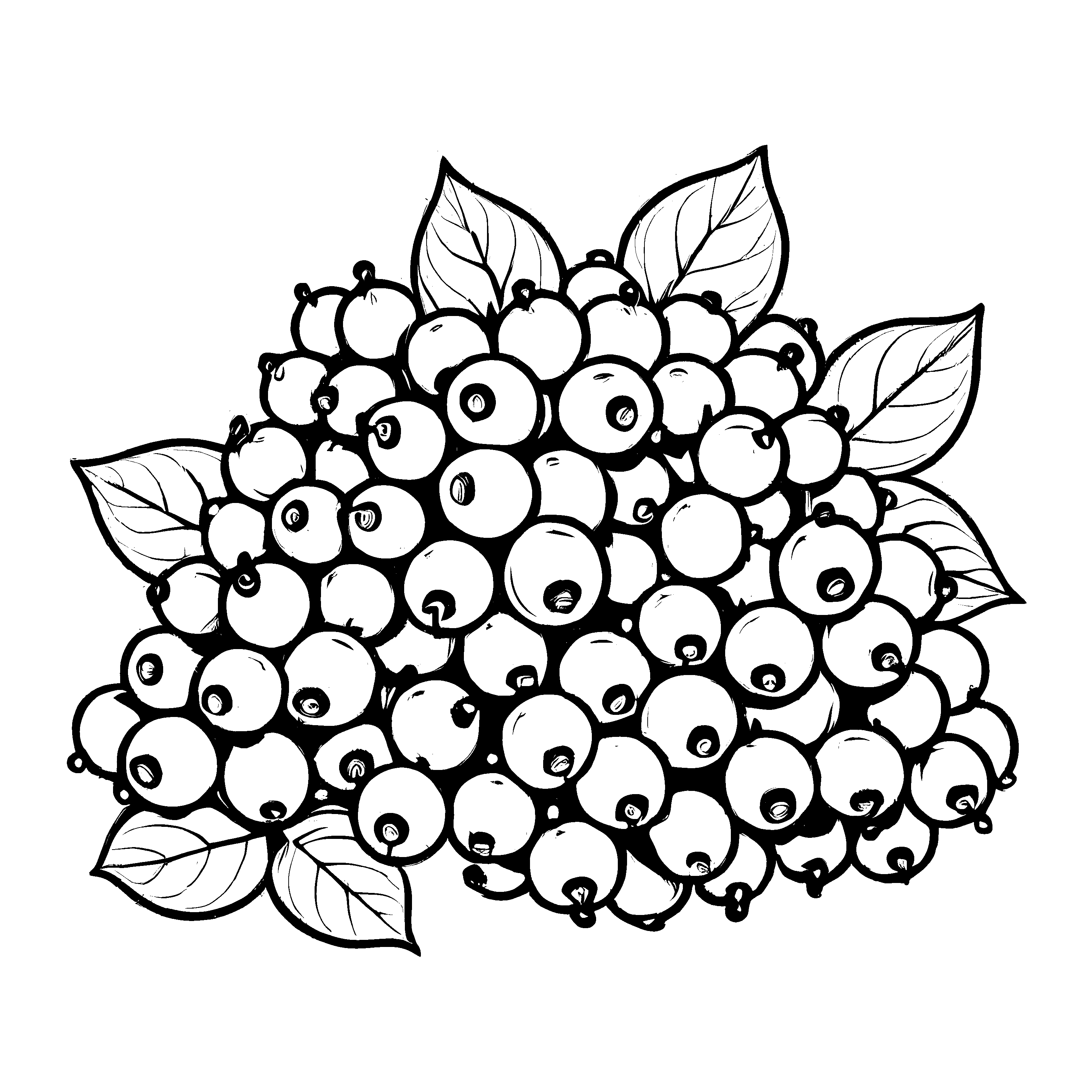 Saftige Johannisbeeren umringt von frischen Blättern Ausmalbild für kleine Farbenkünstler
