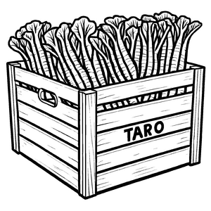 Kreative Taro-Box mit vielen knackigen Karotten Ausmalvorlage für neugierige Gemüsefreunde