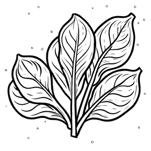 Bezauberndes Spinatblatt mit feinen Adern Ausmalvorlage für kleine Grünerlebnisse
