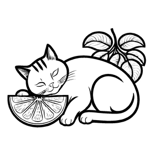 Schlafende Katze mit fruchtiger Grapefruit Malvorlage für gemütliche Entdecker