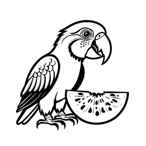 Bezaubernde Galiamelonen mit leckerer Frucht-Scheibe Ausmalmotiven für fruchtige Künstler