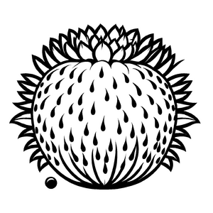 Saftiger Rambutan mit funkelnden Wassertropfen Malvorlage für neugierige Fruchtforscher