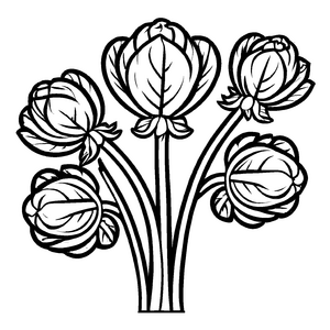 Wunderbarer Rosenkohl mit bunten Blättern Malvorlage für kleine Gartenzauberer