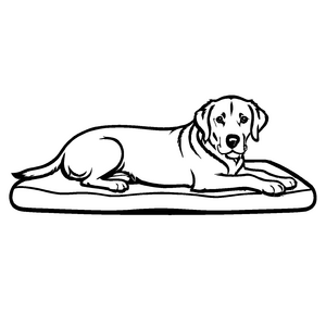 Zauberhaftes Hundekörbchen-Malbild für kleine Künstler