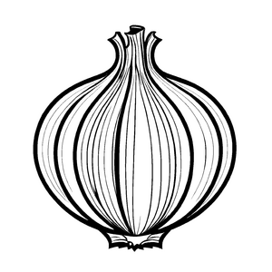 Bezaubernde Zwiebel mit elegantem Grün Malbild für kleine Gemüseabenteurer