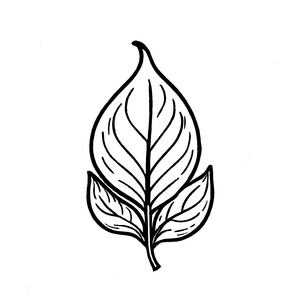 Schlichtes Spinatsblatt in stilvollem Design Ausmalbild für kleine Naturkünstler